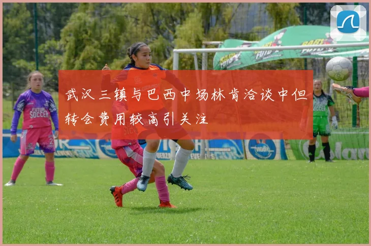 武汉三镇与巴西中场林肯洽谈中但转会费用较高引关注