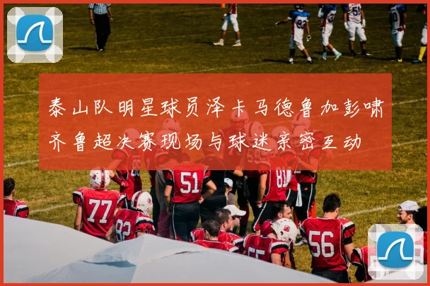泰山队明星球员泽卡马德鲁加彭啸齐鲁超决赛现场与球迷亲密互动