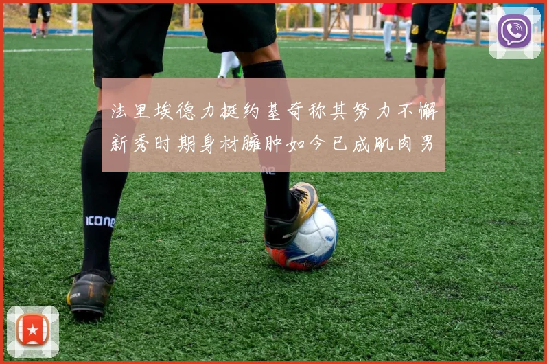 法里埃德力挺约基奇称其努力不懈新秀时期身材臃肿如今已成肌肉男