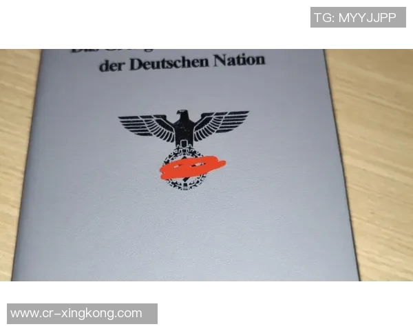 德佩因护照失踪怀疑被盗紧急申请新护照应对困境