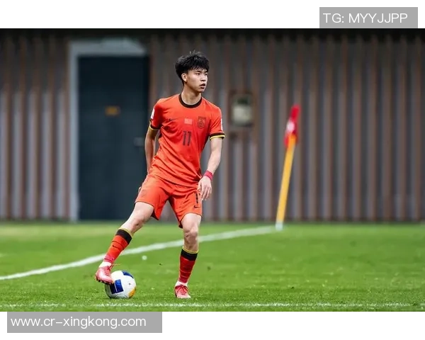 国足1月集训名单公布张玉宁塞鸟马镇吕焯毅等新星入选 国足1月集训名单公布张玉宁塞鸟马镇吕焯毅等新星入选